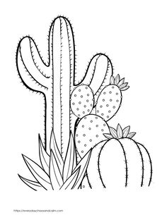 a cactus and other plants coloring page