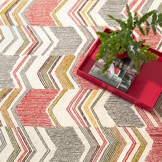 a potted plant sitting on top of a red tray next to a white rug