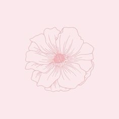 a pink flower on a light pink background with the word love written in white ink