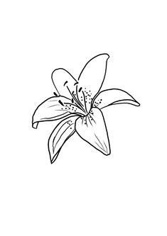 a black and white drawing of a flower