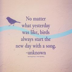 a bird sitting on top of a wall next to a blue and white sign that says no matter what yesterday was like, birds always start the new day with a song unknown