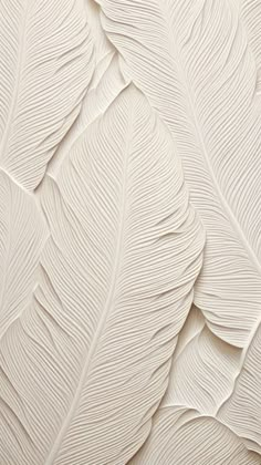 an abstract white wallpaper pattern with large, thin leaves on the top and bottom