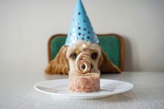 a dog with a birthday hat on sitting in front of a cake that has the number six on it