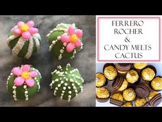 several different types of cactus cakes and cupcakes with flowers on them are featured in this video