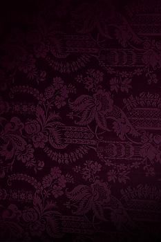 a dark purple wallpaper with floral designs on the top and bottom half of it