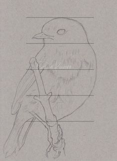 a drawing of a bird sitting on top of a tree branch with the names of its parts