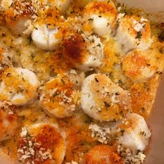 a square casserole dish filled with scallops and cheese