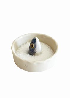 Sardine Head // Salt Bowl // RESTOCKS IN DECEMBER Bowl With House In The Middle, Oyster Spoon Rest, Butter Dish Ceramic Handmade, Soap Dish Aesthetic, Salt Dish Ceramic, Ceramics Home Decor, Ceramic Fish Bowl, Ceramics Wheel Thrown, Hand Painted Butter Dish