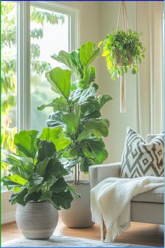 Indoor Plant, Modern Homes, Elevate Your Style, Well Being, Indoor Plants, Your Style, Modern House, Paradise, Plants