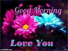 the words good morning love you are surrounded by pink and blue flowers