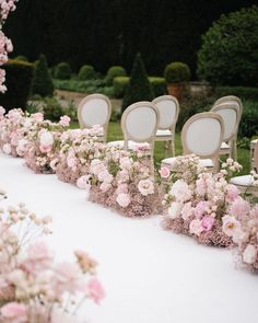 rows of chairs lined up with pink flowers on the ground in front of an outdoor ceremony