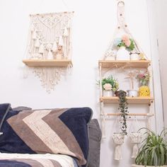 a bed with two shelves on the wall above it and some potted plants next to it