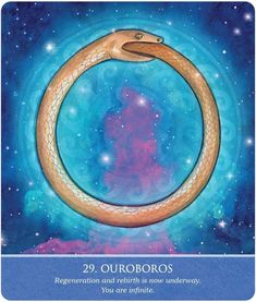 a card with an image of a snake in the middle of it's circle