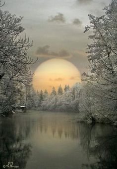 the sun is setting over a lake with trees in it and snow on the ground