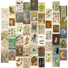 a collage of various pictures with animals, plants and other things in them that are grouped together