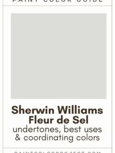 the paint color guide for sheryln williams's fleur de sel undertones, best uses and coordinating colors