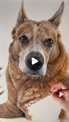 a painting of a dog being drawn with colored pencils