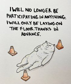 a white cat laying on top of a floor next to traffic cones and a sign that says, i will no longer be participating in anything