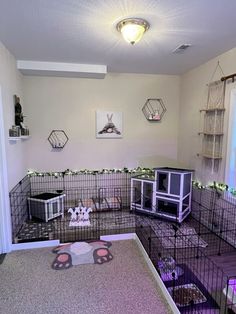 there are many cages in the room for small animals to live in and play with