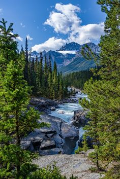 a river running through a forest filled with lots of trees and rocks on the side of a mountain