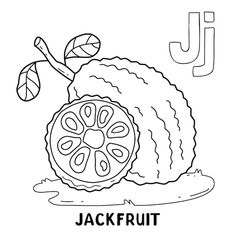 the letter j is for jackfruit coloring page