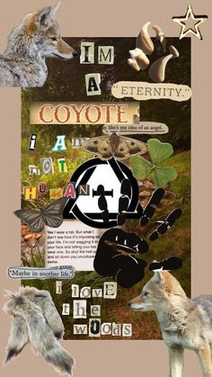 a collage of images with animals and words on them, including an image of a wolf