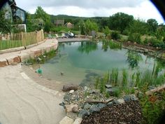 a pond surrounded by rocks and plants in the middle of a yard with a fence around it