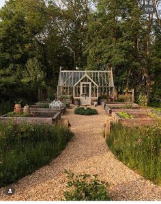 a garden with lots of plants and flowers in the center, surrounded by tall trees