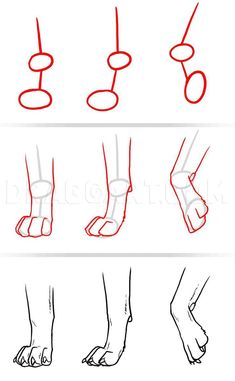 how to draw feet step by step