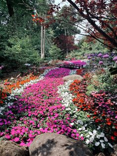 colorful flower garden with rocks and trees in the background