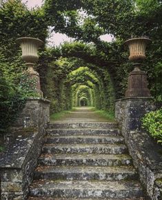 an old set of steps leading to a tunnel in the middle of some trees and bushes