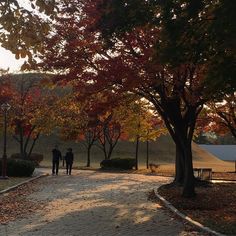 two people walking down a path in the fall