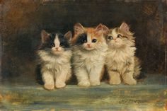 three kittens sitting next to each other in front of a brown and white background