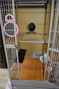 a bird in a cage on top of a wooden table