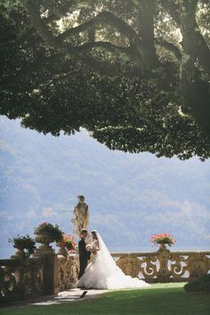 a bride and groom standing under a large tree