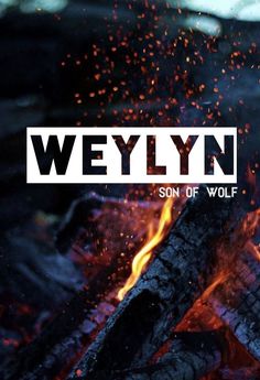 a campfire with the words weylyn on it and flames in the background