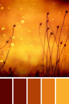 the color palette is orange, brown and yellow with some small flowers in front of it