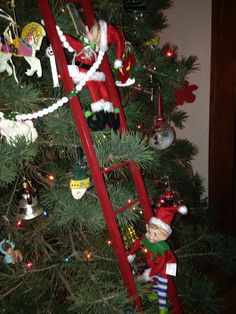 a christmas tree decorated with ornaments and elfs on it's branches, next to a ladder