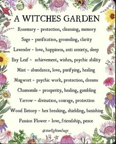 Crystals Spirituality, Witches Art, Folklore Mythology, Witches Garden, Gothic Love, Witchy Garden, Pagan Magic, Spiritual Nature, Witch Herbs