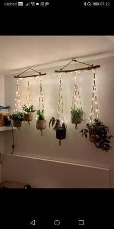 some plants are hanging on the wall with lights