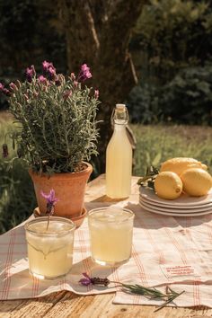 lemons and lavender are on the picnic table with two glasses of lemonade next to them