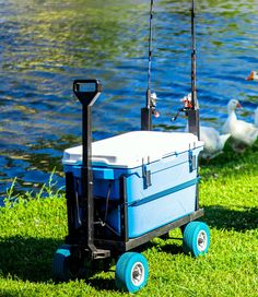 a cooler cart with two fishing rods attached to it sitting in the grass near some ducks