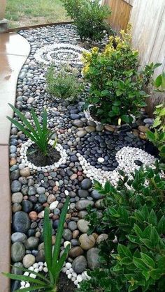 a garden with rocks and plants in it