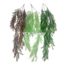 three green and brown plants hanging from hooks on a white background with the words vick greens written below them