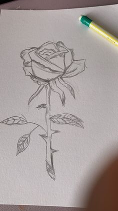 a drawing of a rose on paper with a pencil