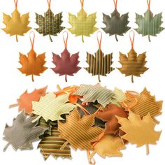 a bunch of different colored leaves hanging from strings