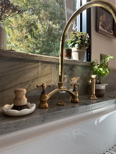 a sink with two faucets and some plants