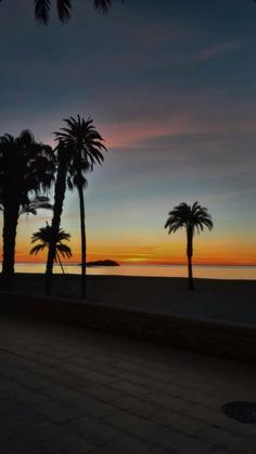 palm trees are silhouetted against the setting sun at an empty beach in barcelona, spain