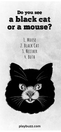 an advertisement for a black cat with the caption do you see a black cat or a mouse?