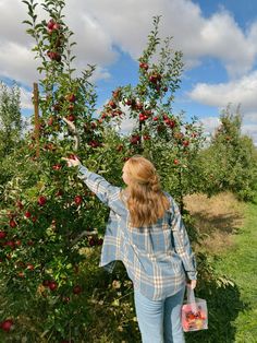 a woman picking apples from an apple tree